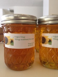 Holly's Honey - Raw local honey