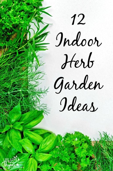 12 Indoor Herb Garden Ideas - Grow your own food right in the comfort of your own kitchen with these ideas for growing your own indoor herb garden.