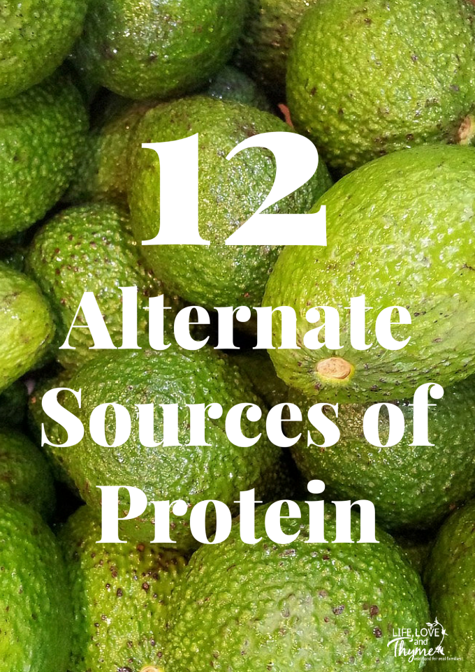 12 Alternate Sources of Protein - Switching to a plant based diet can be tricky. These 12 alternate sources of protein will help keep you full and on track.