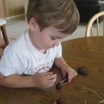 Grapes and toothpicks