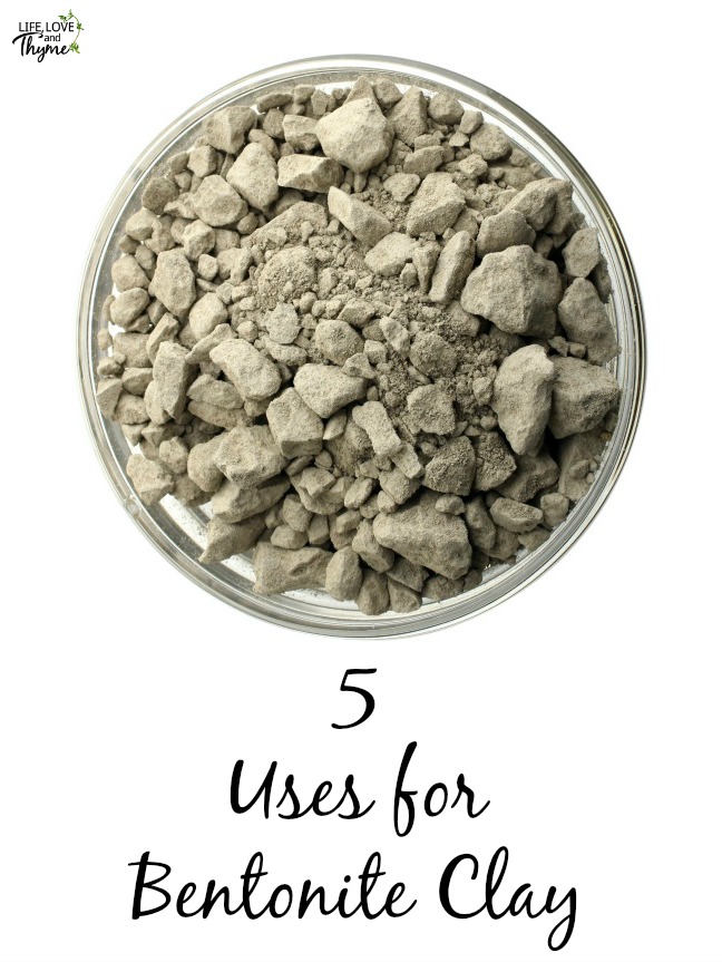 5 Uses for Bentonite Clay