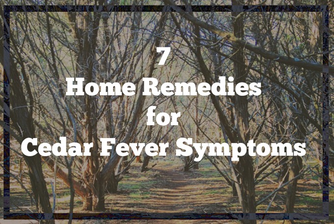 7 Home Remedies for Cedar Fever Symptoms | Play 2 Learn with Sarah