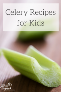 Celery Recipes for Kids - Get your kids to start enjoying eatting celery with these fun recipes.