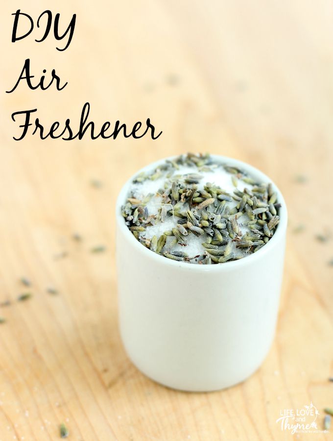 DIY Air Freshener - Traditional air fresheners can spew nasty chemicals into the air of your home. This diy air freshener can add a little natural lavender smell and help you have a more natural home.