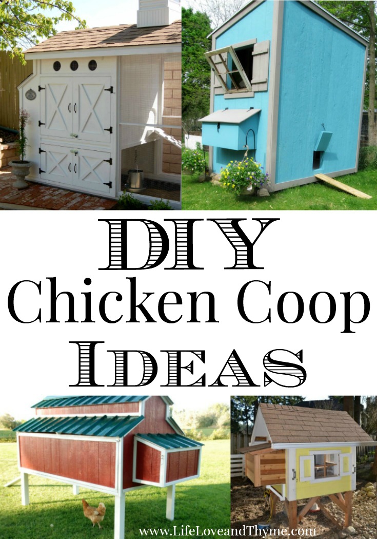 DIY Chicken Coop Ideas