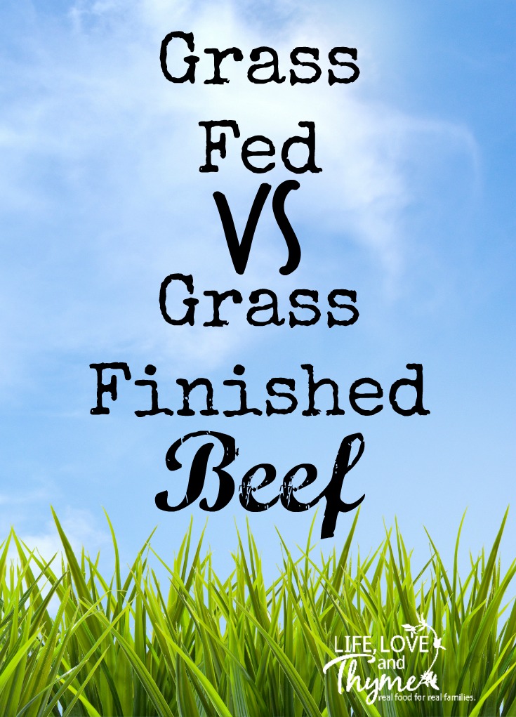 Grass Fed vs Grass Finished Beef - What's the difference and what does it mean for your families' health?