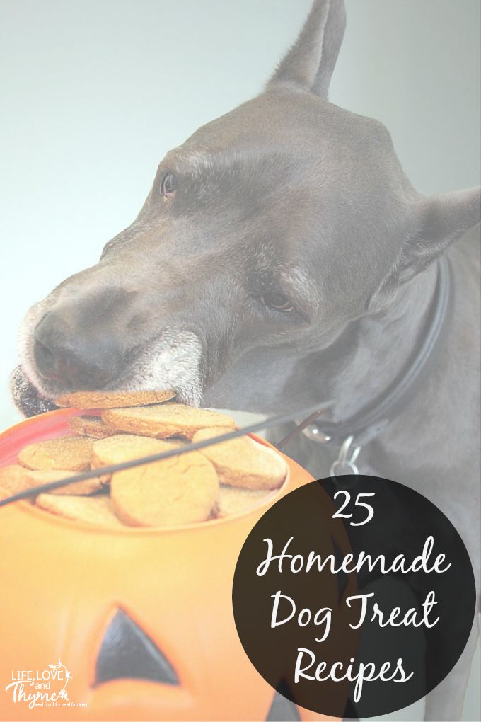 25 Homemade Dog Treat Recipes - These are my favorites from around the web...and hopefully my dogs' too!