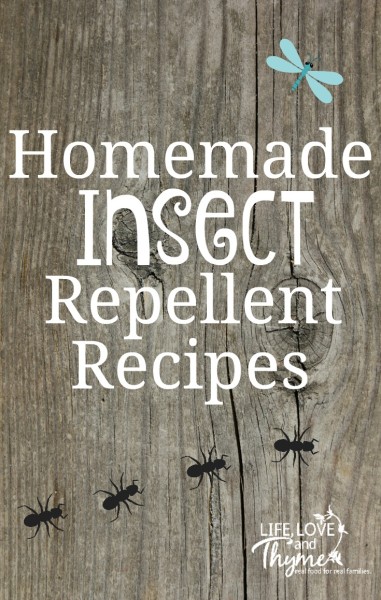 Homemade Insect Repellent Recipes - Keep your kids safe from bugs and chemicals with these homemade insect repellent recipes.