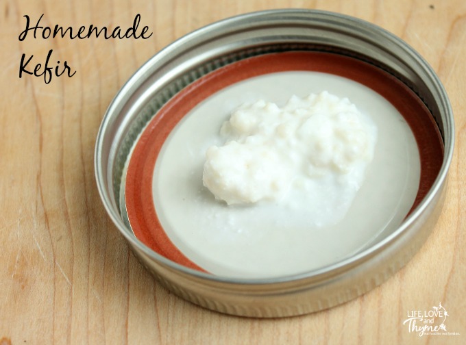 Homemade Kefir - Kefir is an amzing fermented milk that can help build a healthy gut. Here I share where to get kefir grains and how to make homemade kefir.