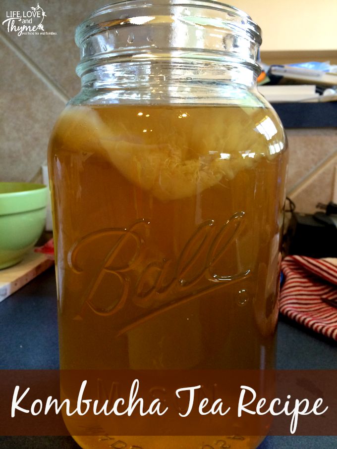 Kombucha Tea Recipe - Kombucha is a fermented tea that has loads of probiotic and other health benefits. It's also super yummy and addicting!