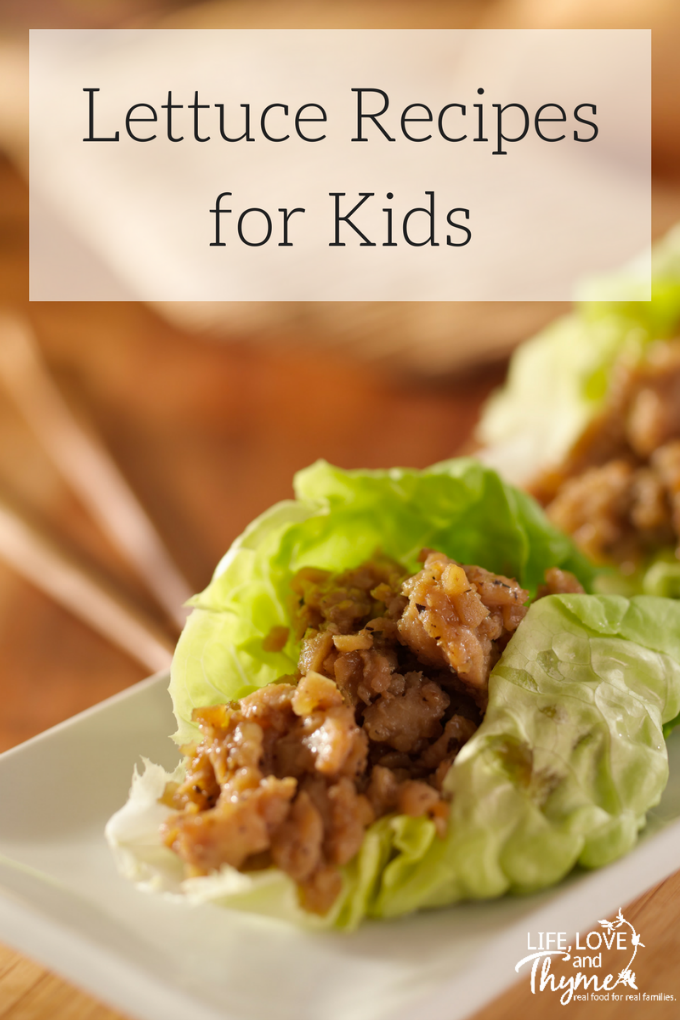 Lettuce Recipes for Kids - Lettuce is a gateway veggie for kids and these healthy recipes will help you get more veggies in!