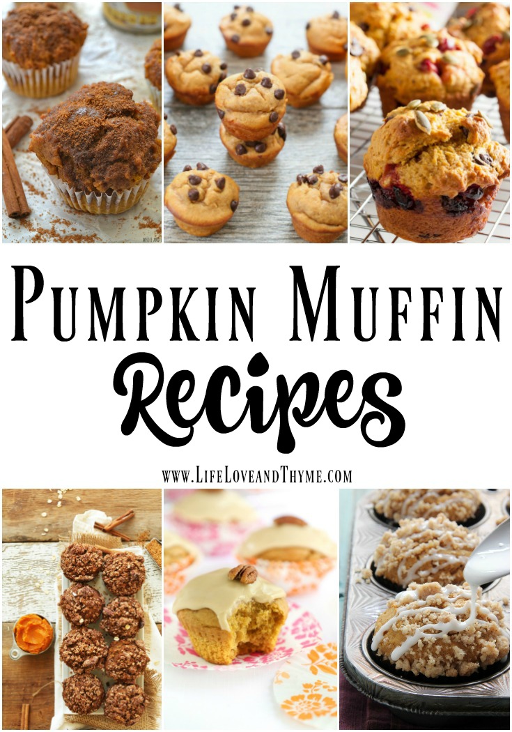 Pumpkin Muffin Recipes 