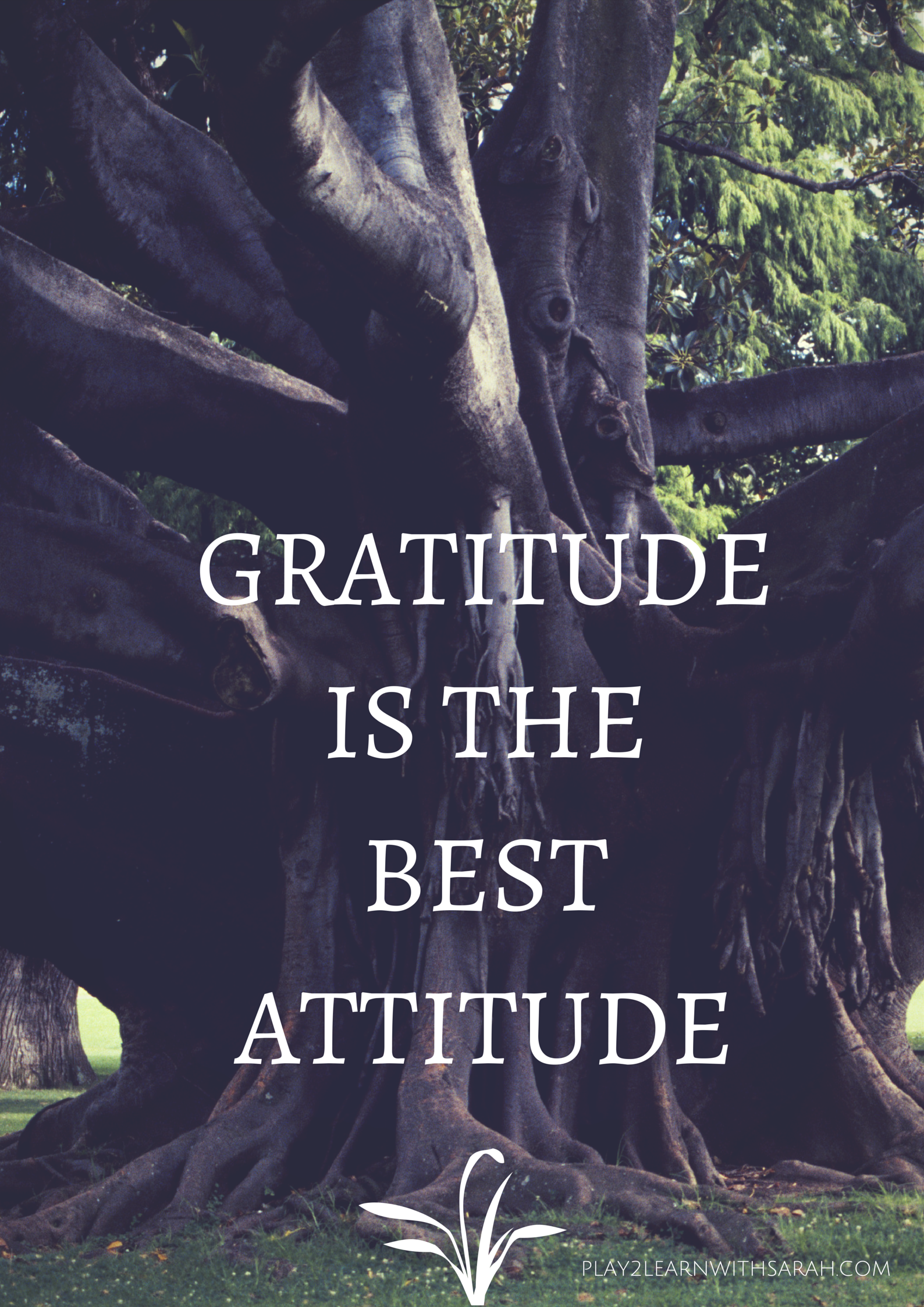 Gratitude is the BEST Attitude